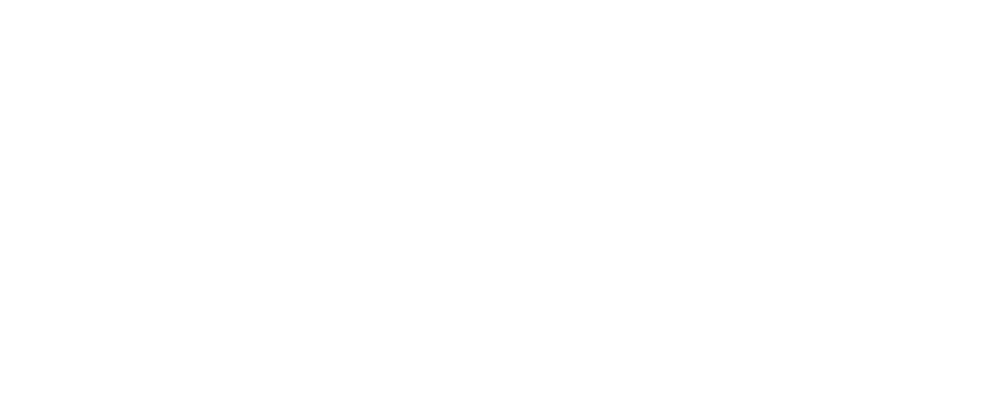 Trusted client partner
